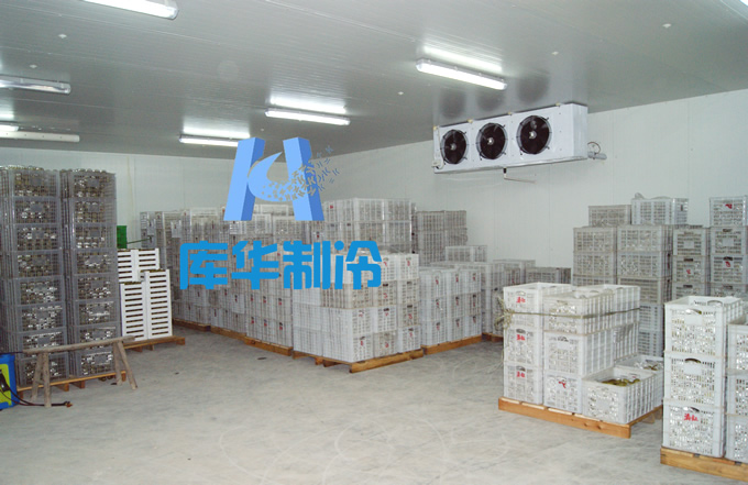 200平方水果保鮮冷庫設(shè)計(jì)方案